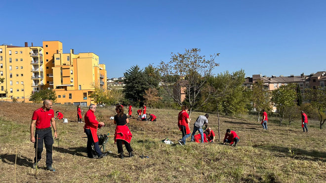 Conad Campobasso_27102022_3.jpeg